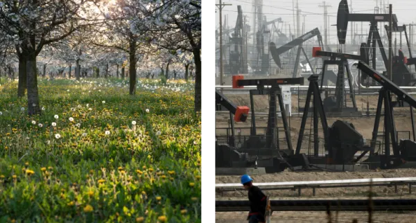 Parteien im Vergleich